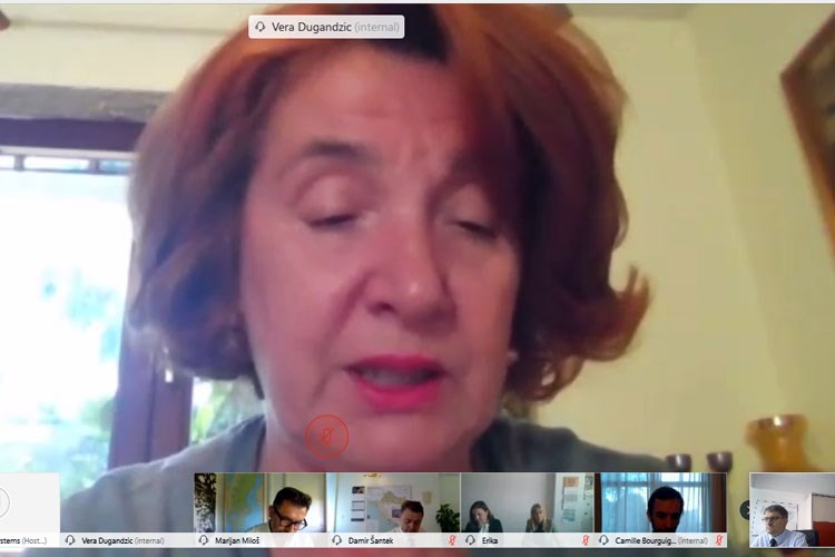 Slika Print screen on line sastanka, Misija Svjetske Banke, Vera Dugandzic.